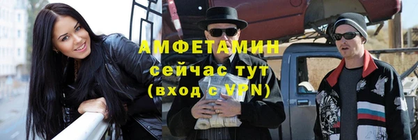 прущие грибы Карпинск