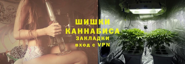 трава Ельня