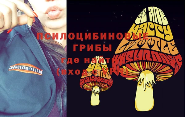 молекула духа Алзамай
