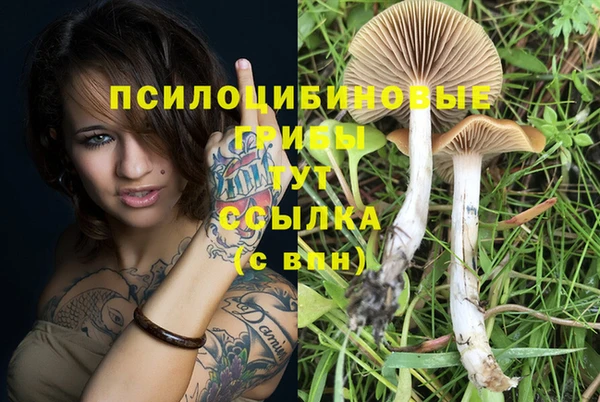 спиды Лабытнанги