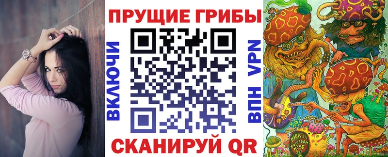 мега tor  Александровск-Сахалинский  Псилоцибиновые грибы прущие грибы 